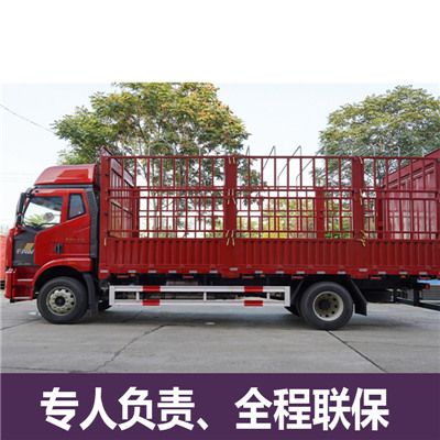 梅州到衡陽衡東縣物流公司